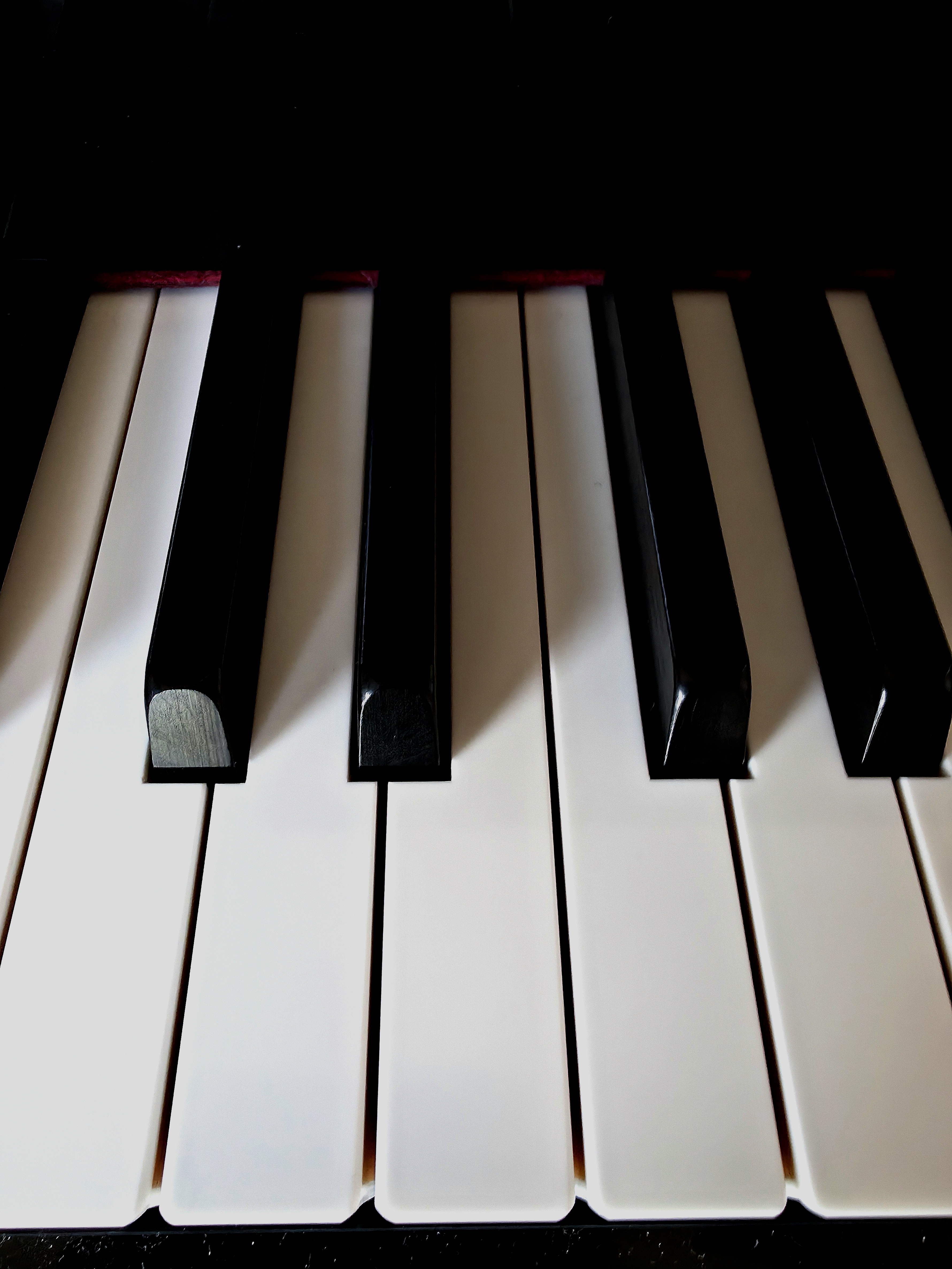 Photo of Baldi's Piano, Keyboard. Photo taken by Baldi, A.K.A Amonn AL-Mahrouq.