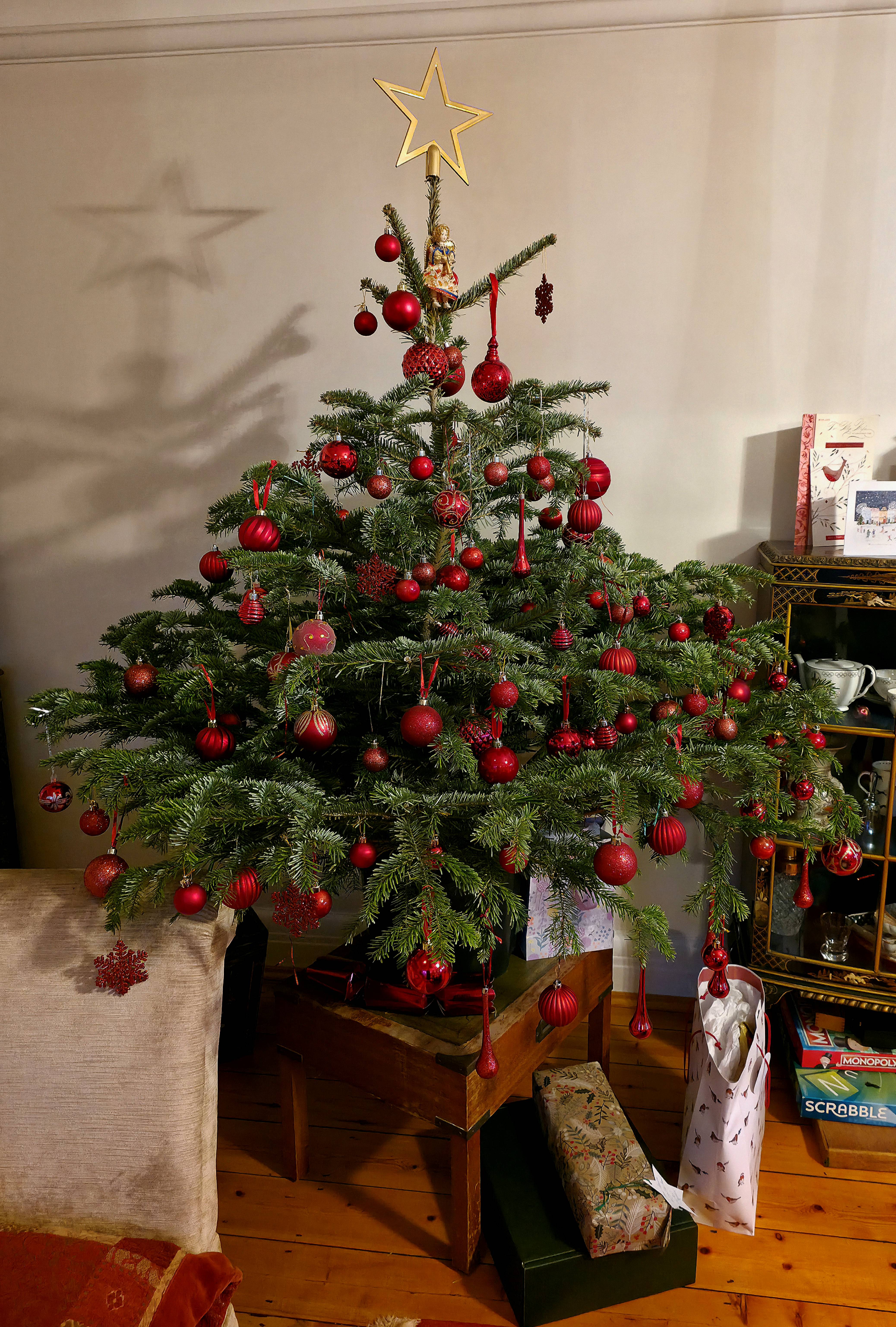 Photo of our family Xmas Tree. Photo taken in December 2025 by Baldi, A.K.A Amonn AL-Mahrouq.