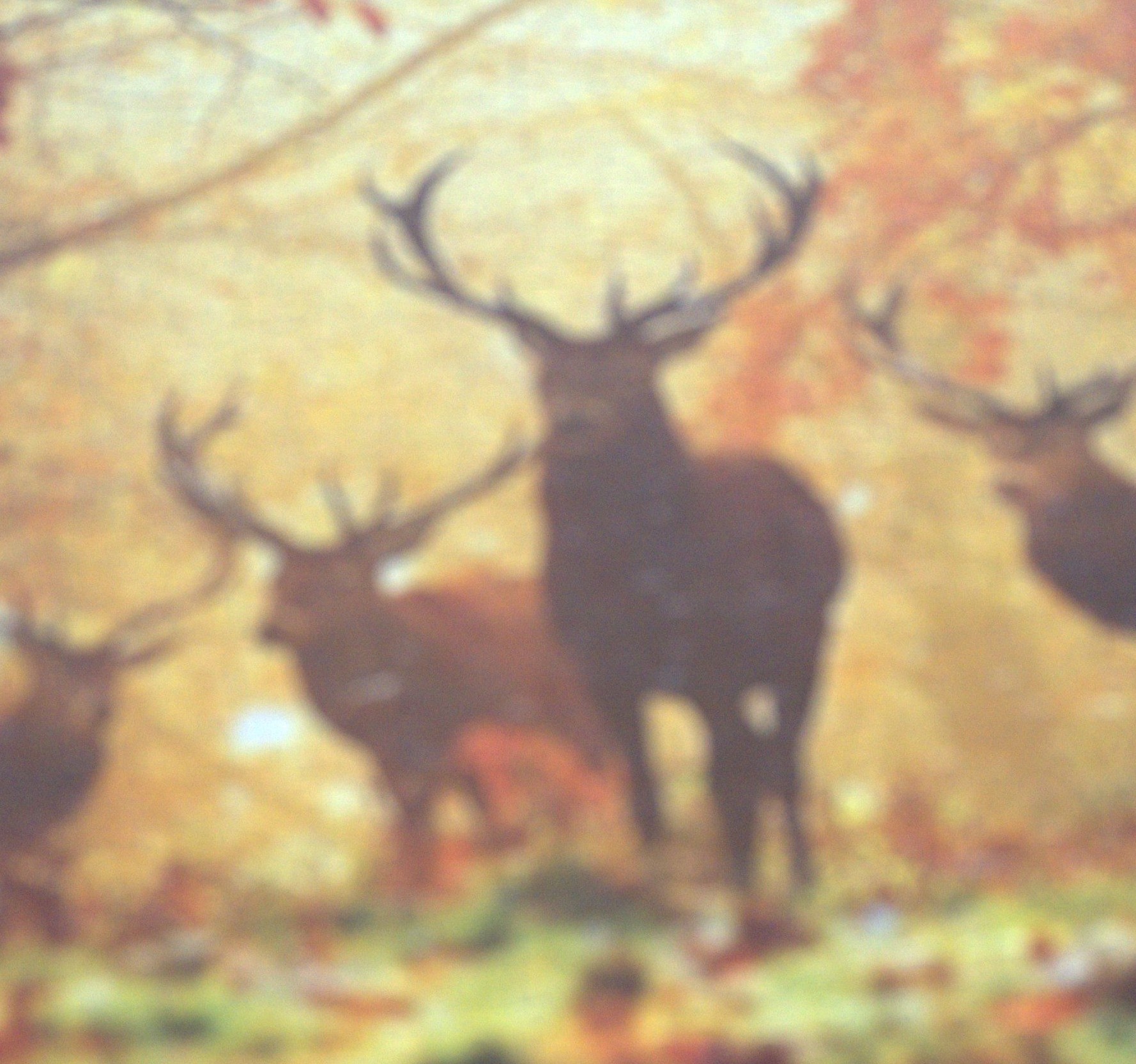 A photo of a complete Winter Puzzle depicting the close of 2025. Photo take by Baldi, A.K.A Amonn AL-Mahrouq