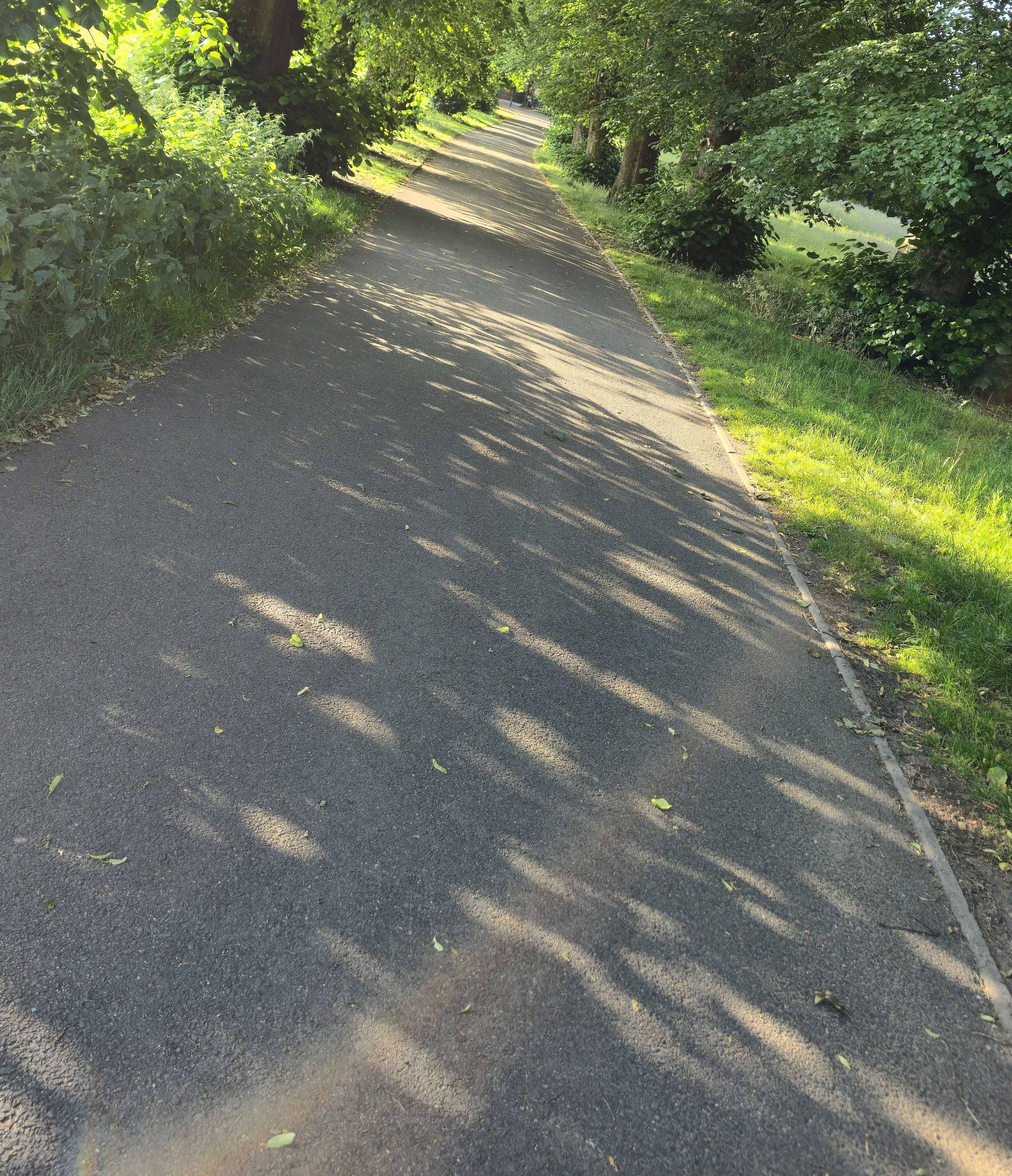 A path that isn't straight asking, what are your goals for the end of February 2026? Photo taken in February 2026 by Baldi, A.K.A Amonn AL-Mahrouq