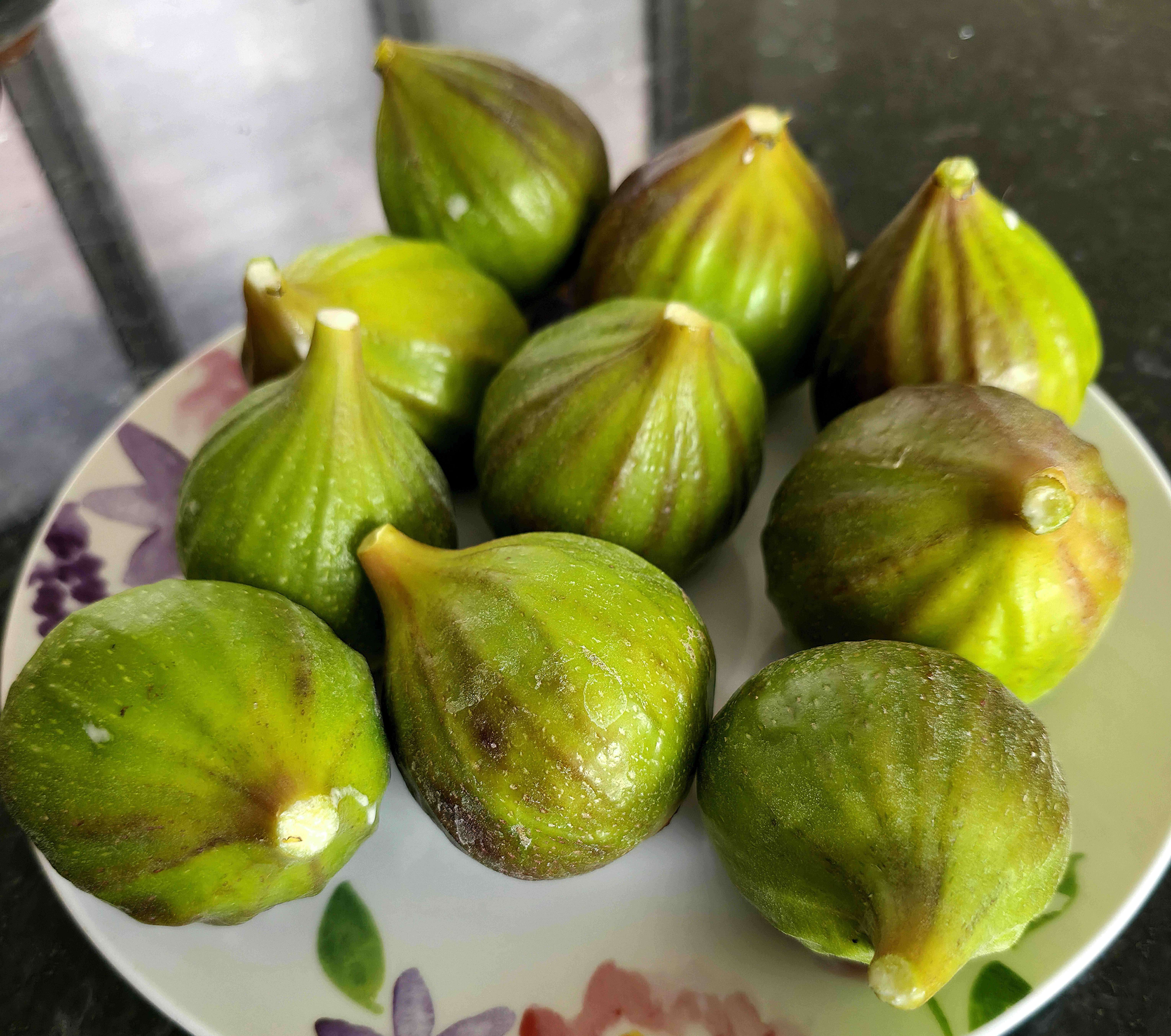 Photo of home grown Figs in August 2025.