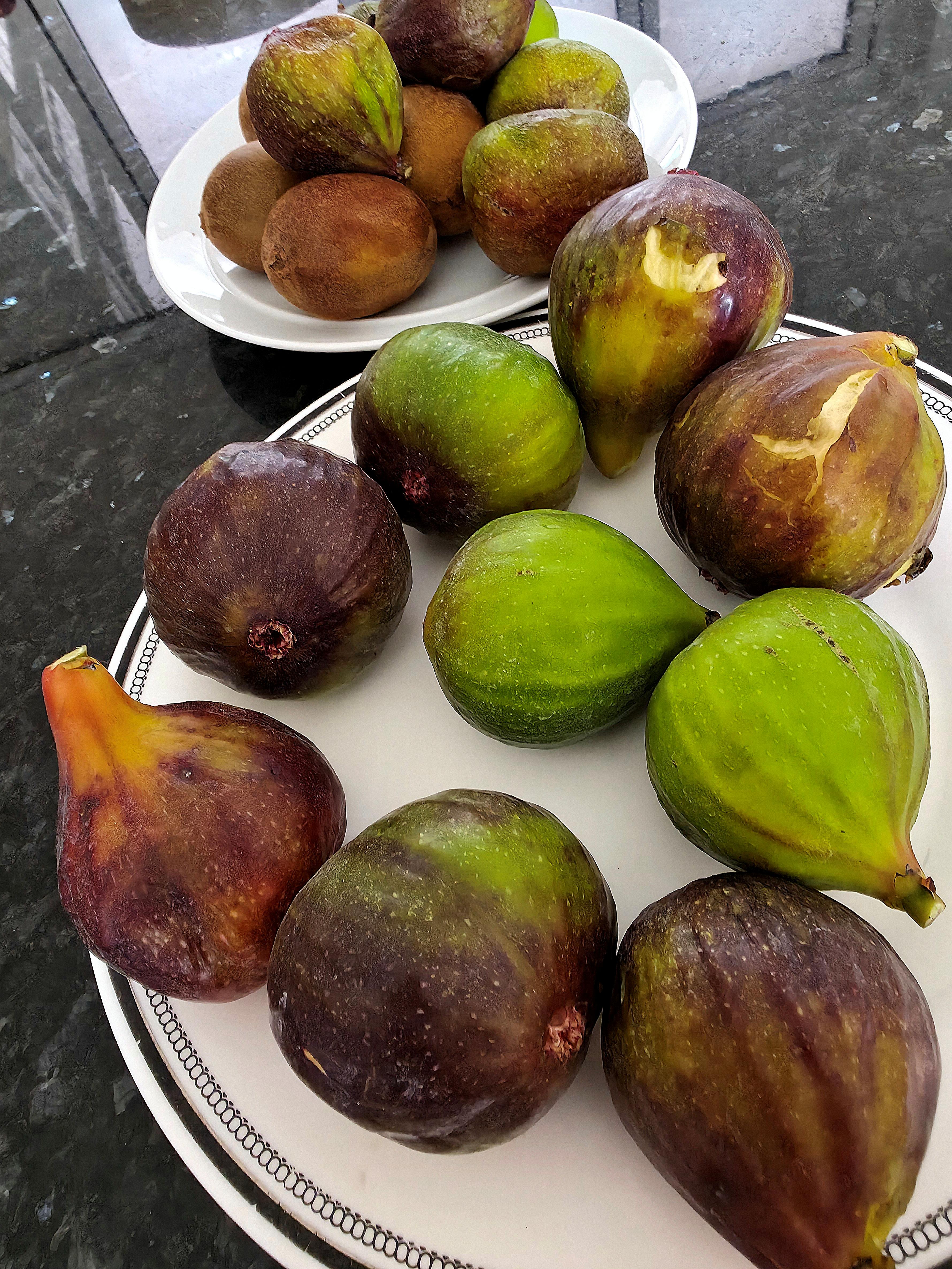Photo of home grown Figs.