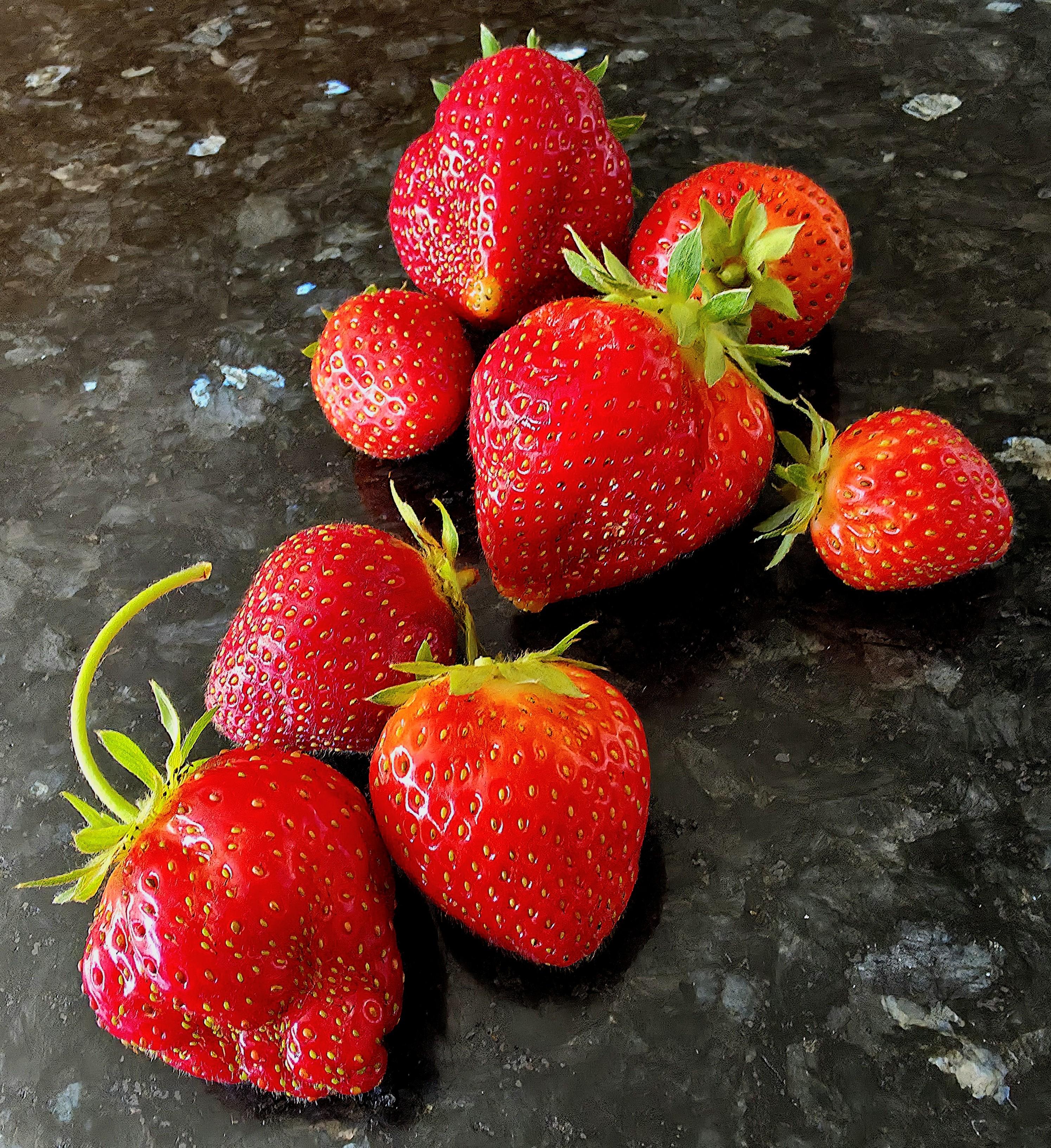 Still eating delicious home grown Strawberries in August 2025!