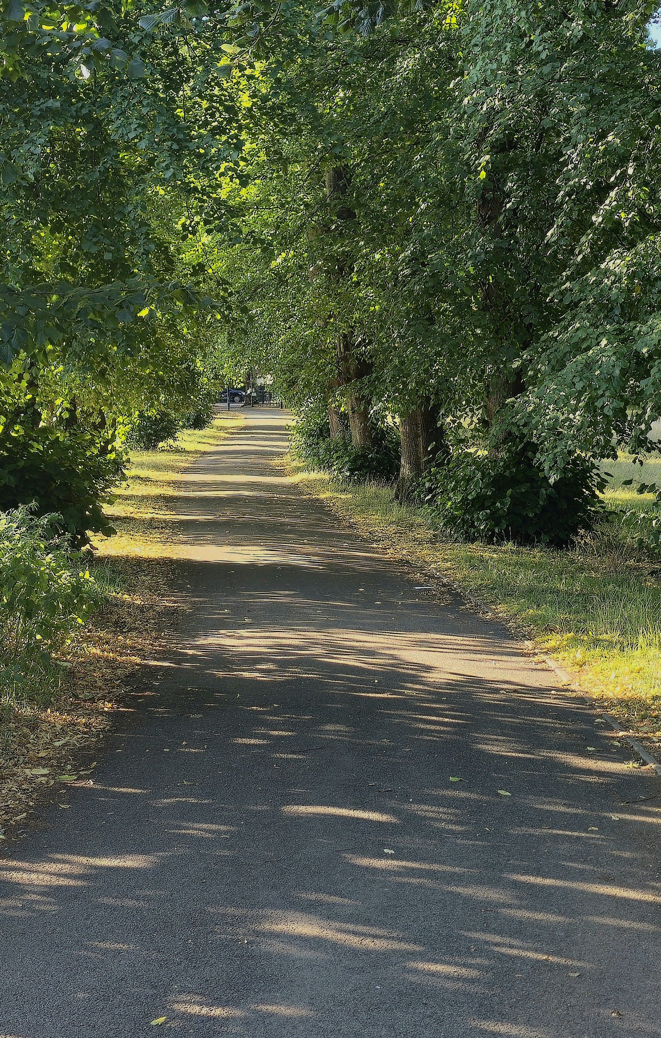 A photo of a winding track depicting your Life's Path taken in Stoke Park, Guildford, Surrey, United Kingdom. Photo taken in September 2025