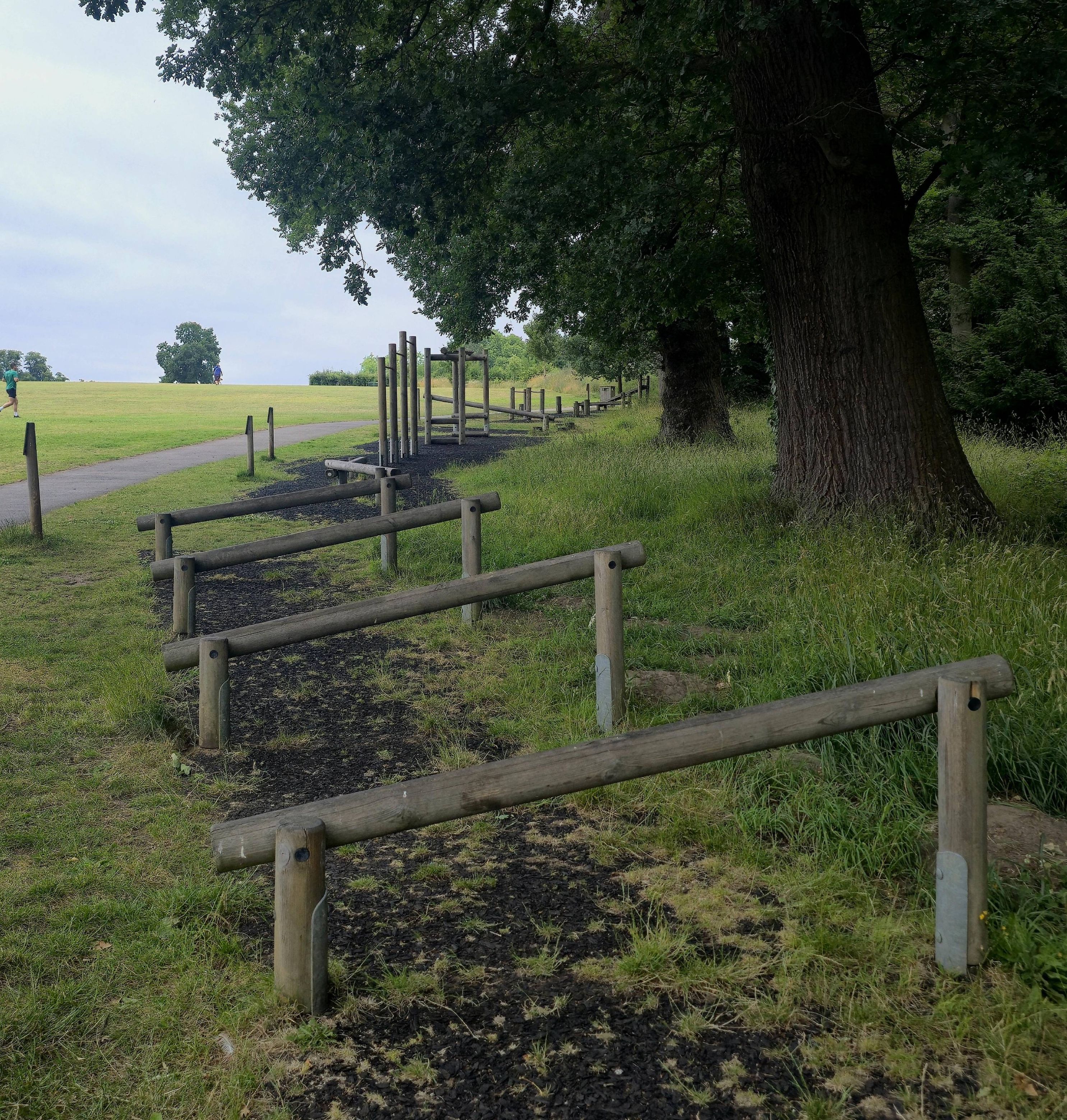 A photo showing a series of obstacles in the form of wooden poles at different heights signifying obstacles in the way of achieving my goals for 2026. Photo taken in Stoke Park, Guildford by Baldi, A.K.A Amonn AL-Mahrouq
