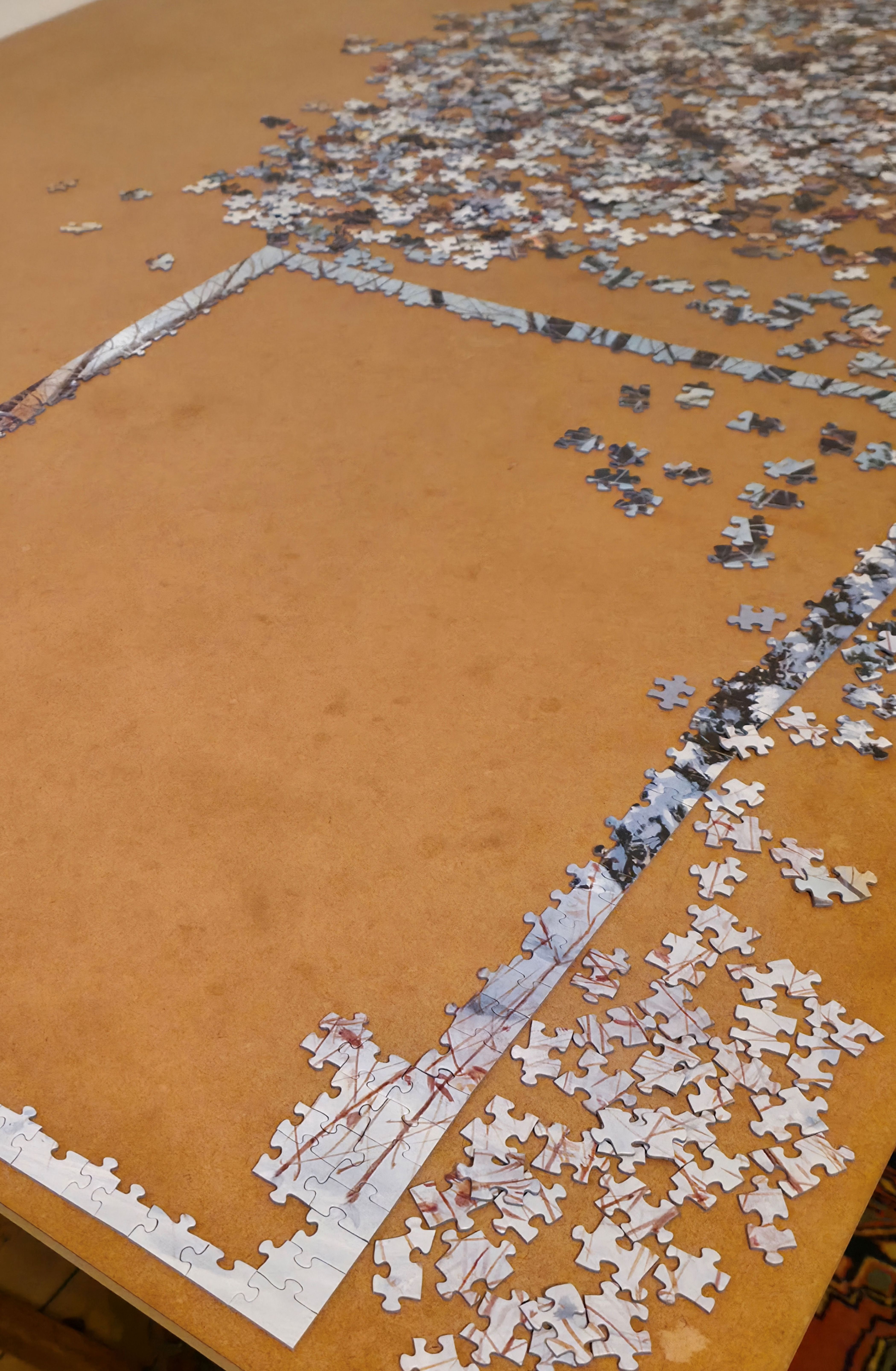 A photo showing puzzle with the outside pieces intact and the inside being completed depicting completing my goals for 2026. Photo taken in Guildford Railway Station, in January 2026 by Baldi, A.K.A Amonn AL-Mahrouq