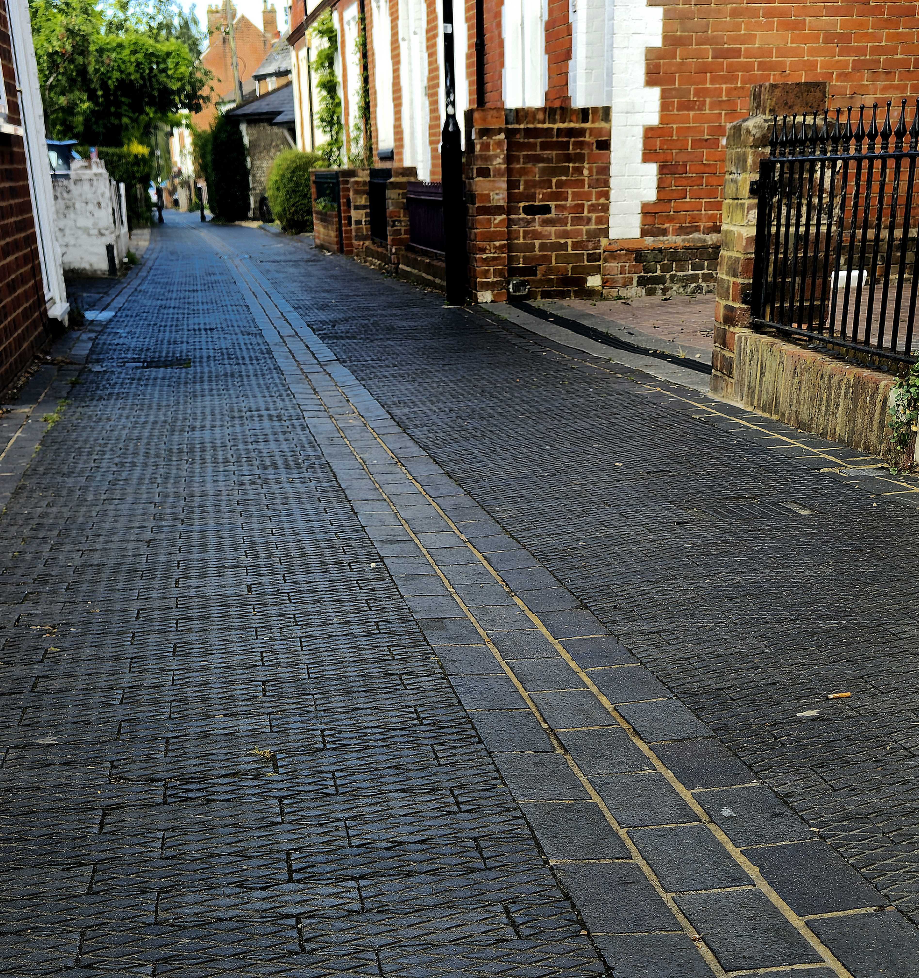 A photo showing a stretch of Guildford's Old Tram Line. Photo taken during September 2025