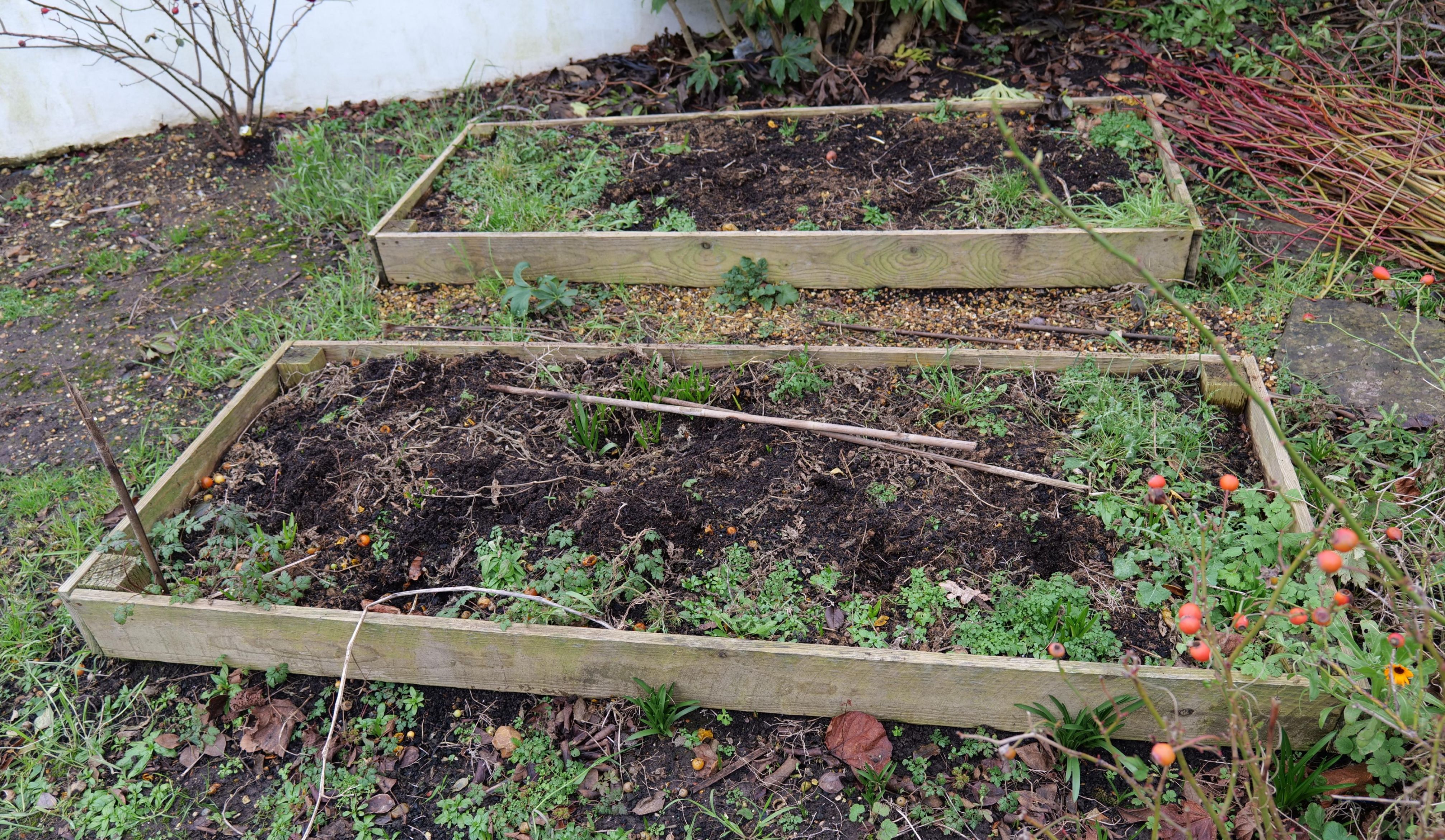 Photo of beds for home grown produce. Photo taken by Baldi, A.K.A Amonn AL-Mahrouq.