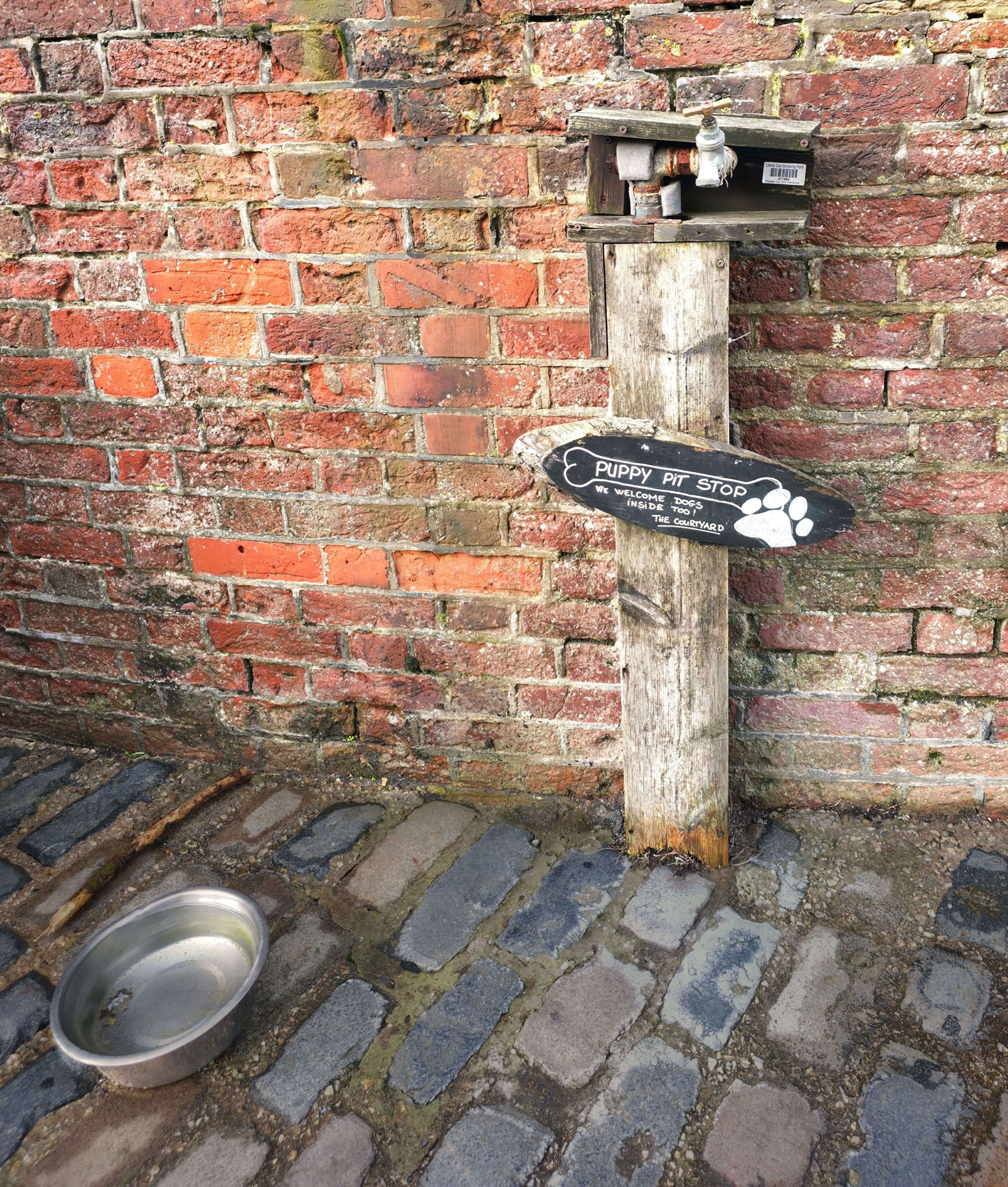 Photo of a water stop for Dogs at Southsea Castle. Photo taken in March 2026 by Baldi, A.K.A Amonn AL-Mahrouq