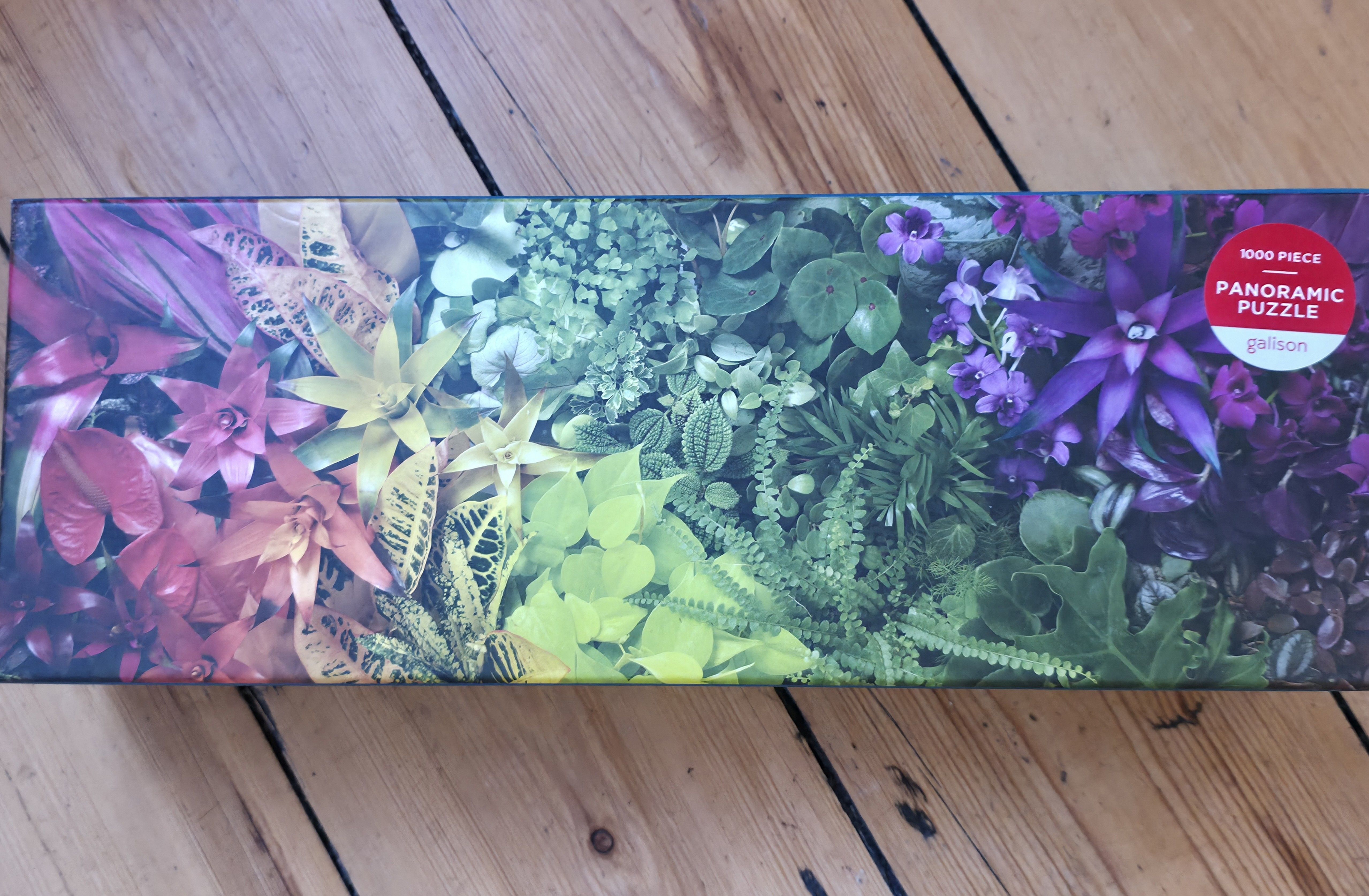 Photo of a Puzzle received from my Cousin for Xmas 2025. Photo taken in December 2025 by Baldi, A.K.A Amonn AL-Mahrouq.