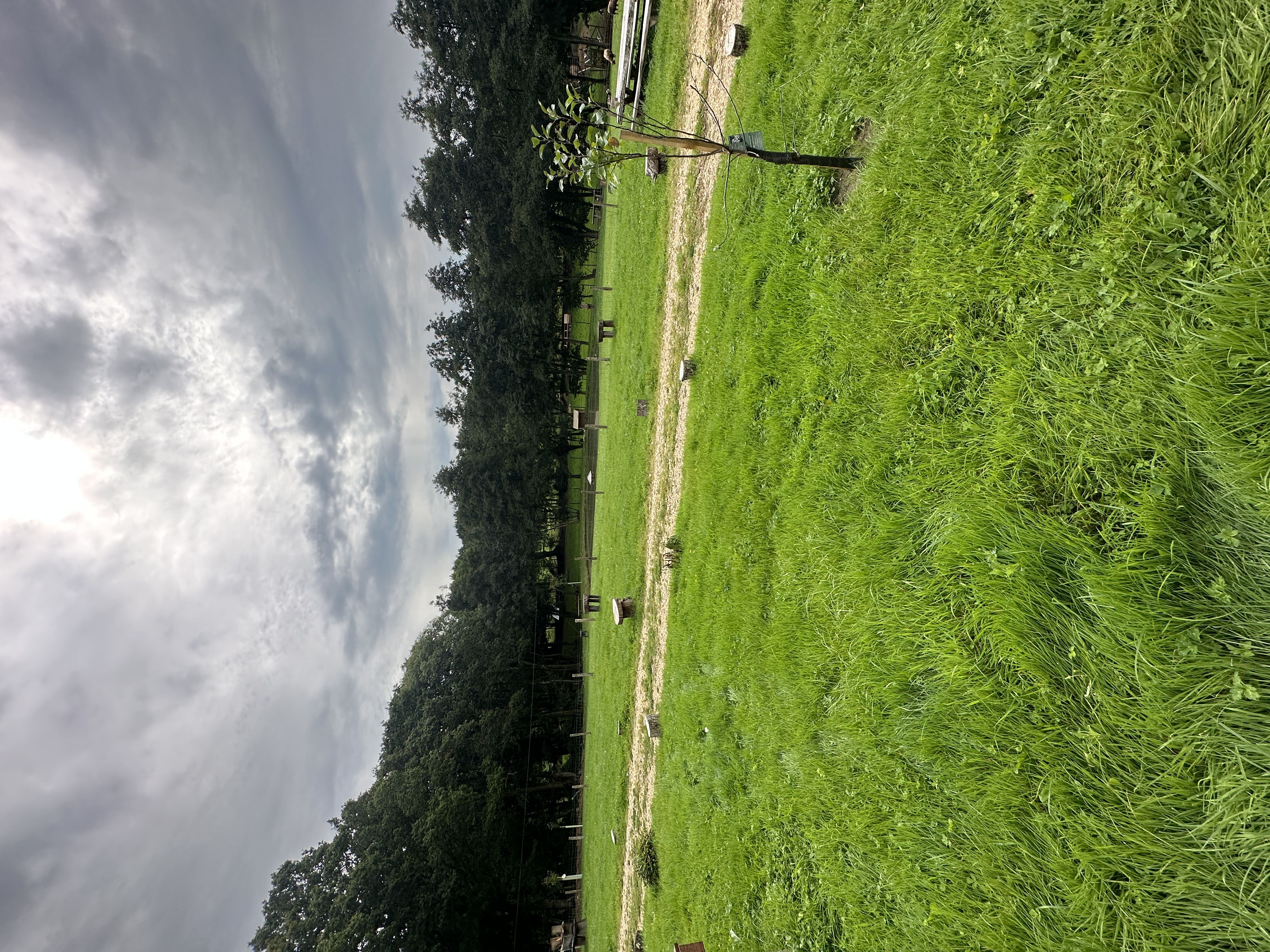 Goals for the week of August 11, 2025