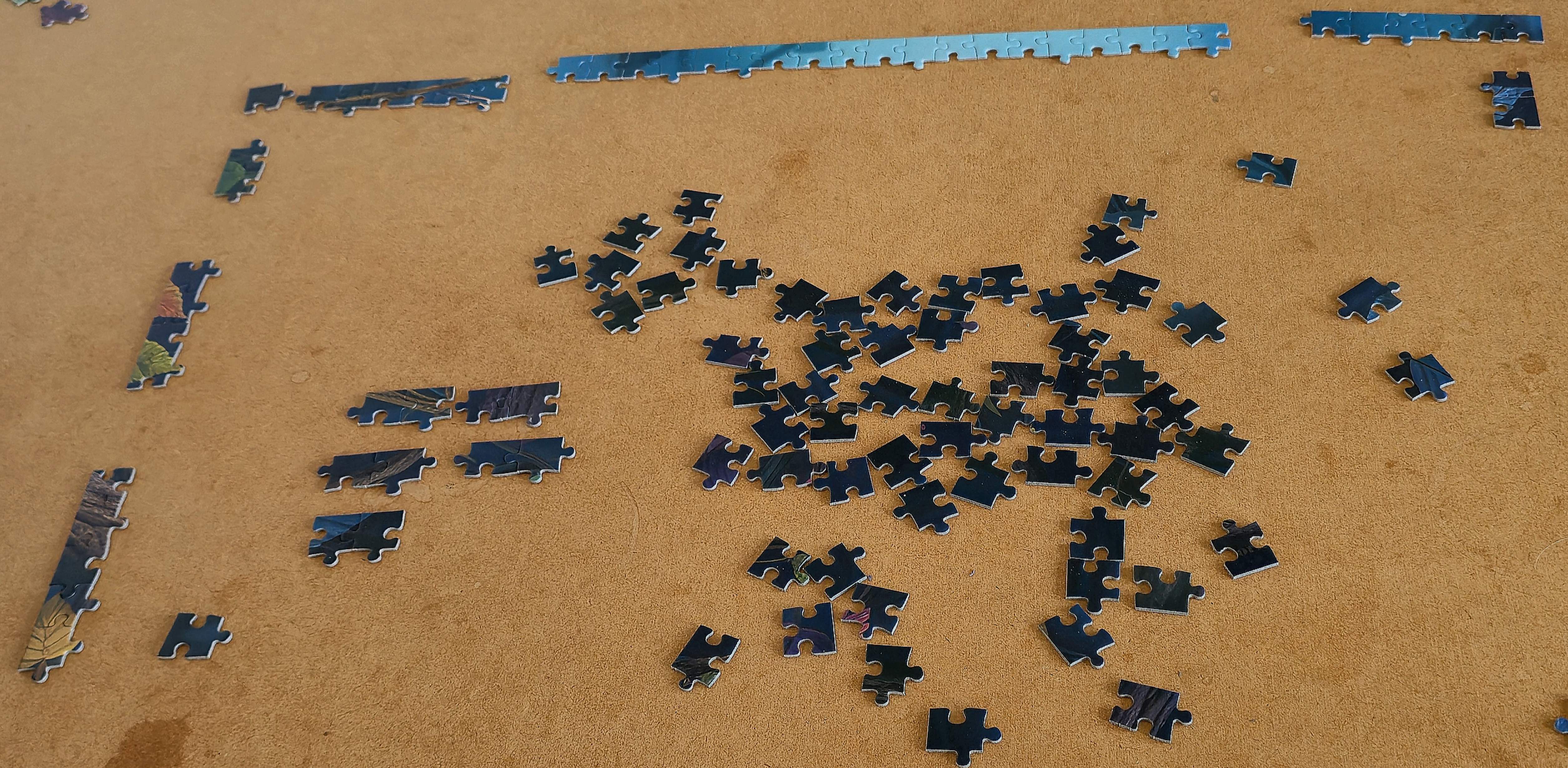 Photo of a half completed puzzle, asking what are your goals this week?